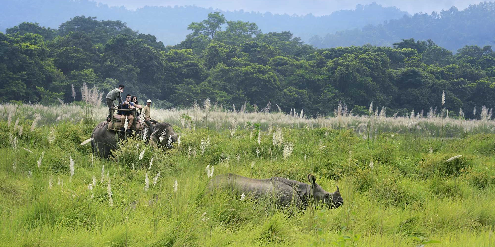 chitwan national park in spring season